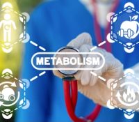 metabolism